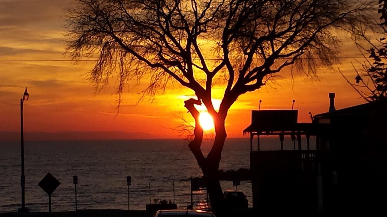 Balm Beach Resort And Motel Εξωτερικό φωτογραφία